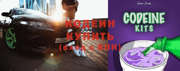 гашик Алексин