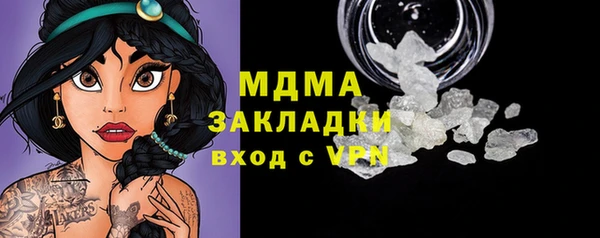гашик Алексин