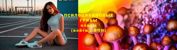 стаф Саяногорск