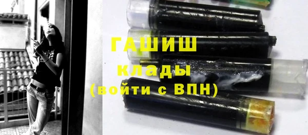 гашик Алексин
