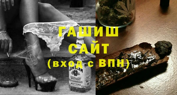гашик Алексин