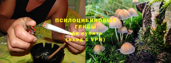 гашик Сатка