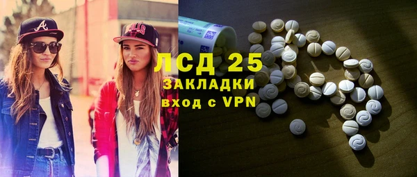 гашик Алексин