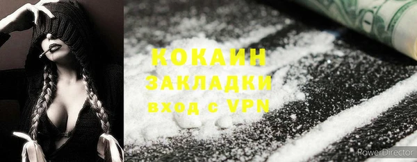 индика Алексеевка