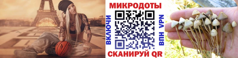Псилоцибиновые грибы прущие грибы  где можно купить   Гдов 
